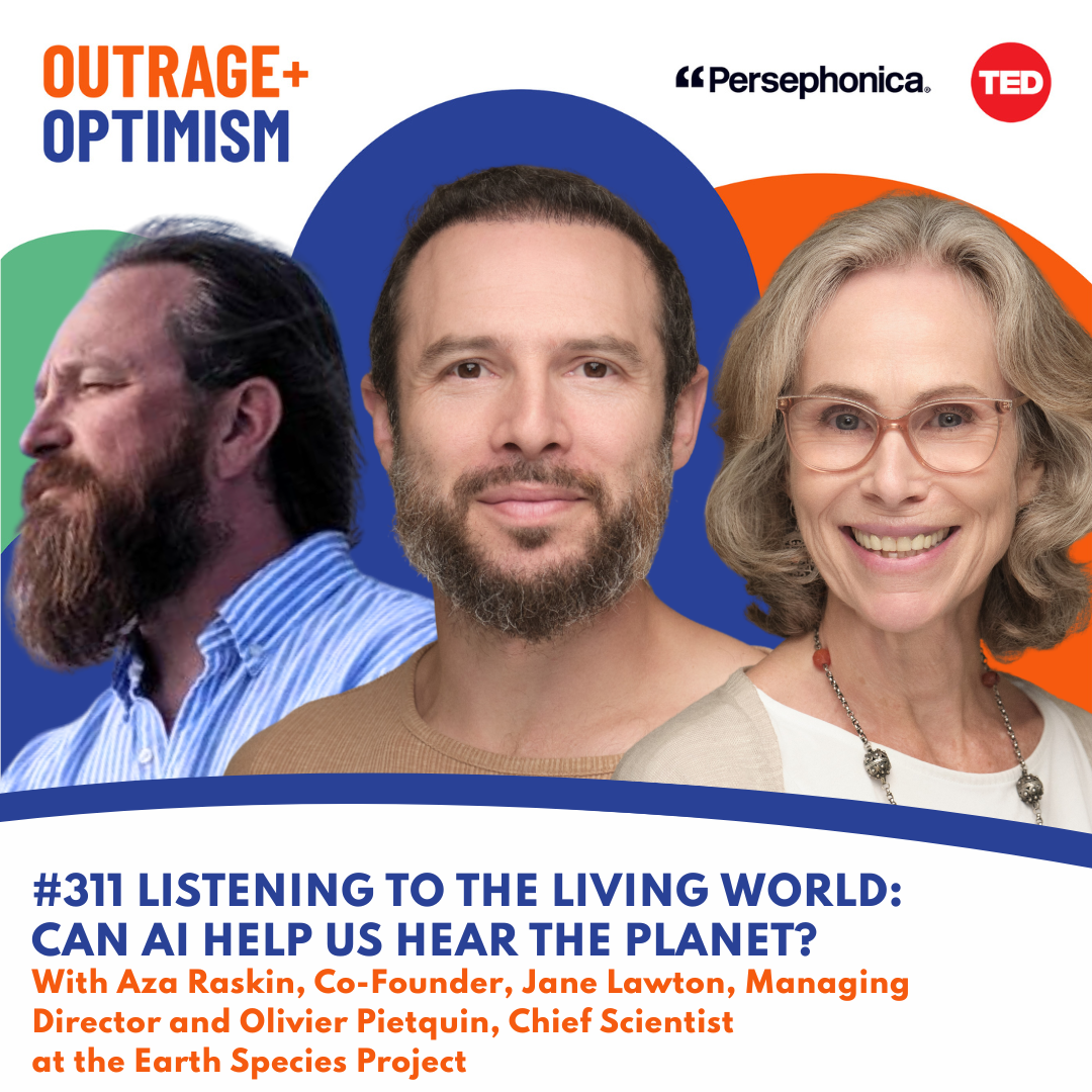 Listening to the Living World: Can AI help us hear the planet? cover art