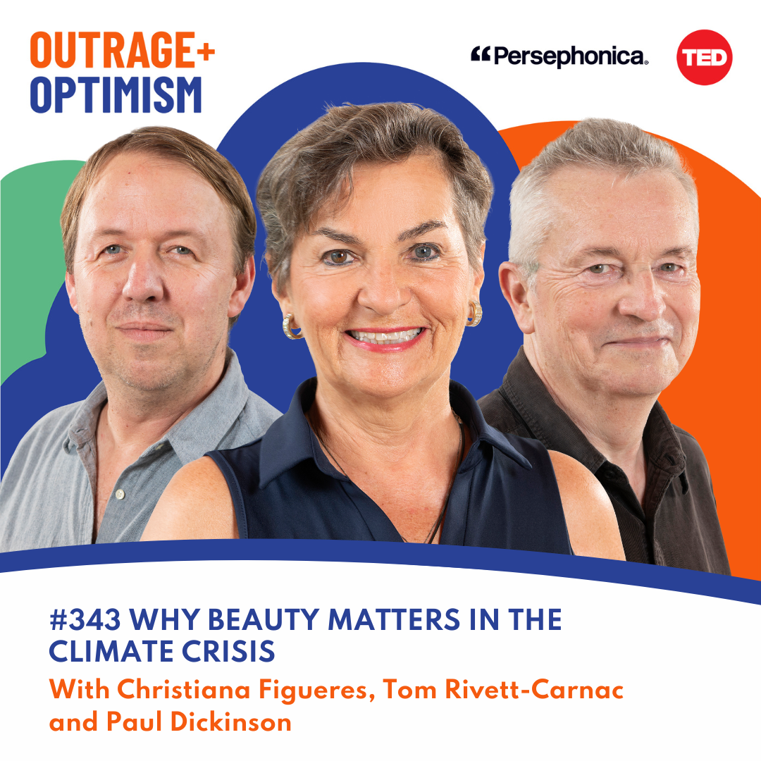 Why Beauty Matters in the Climate Crisis cover art