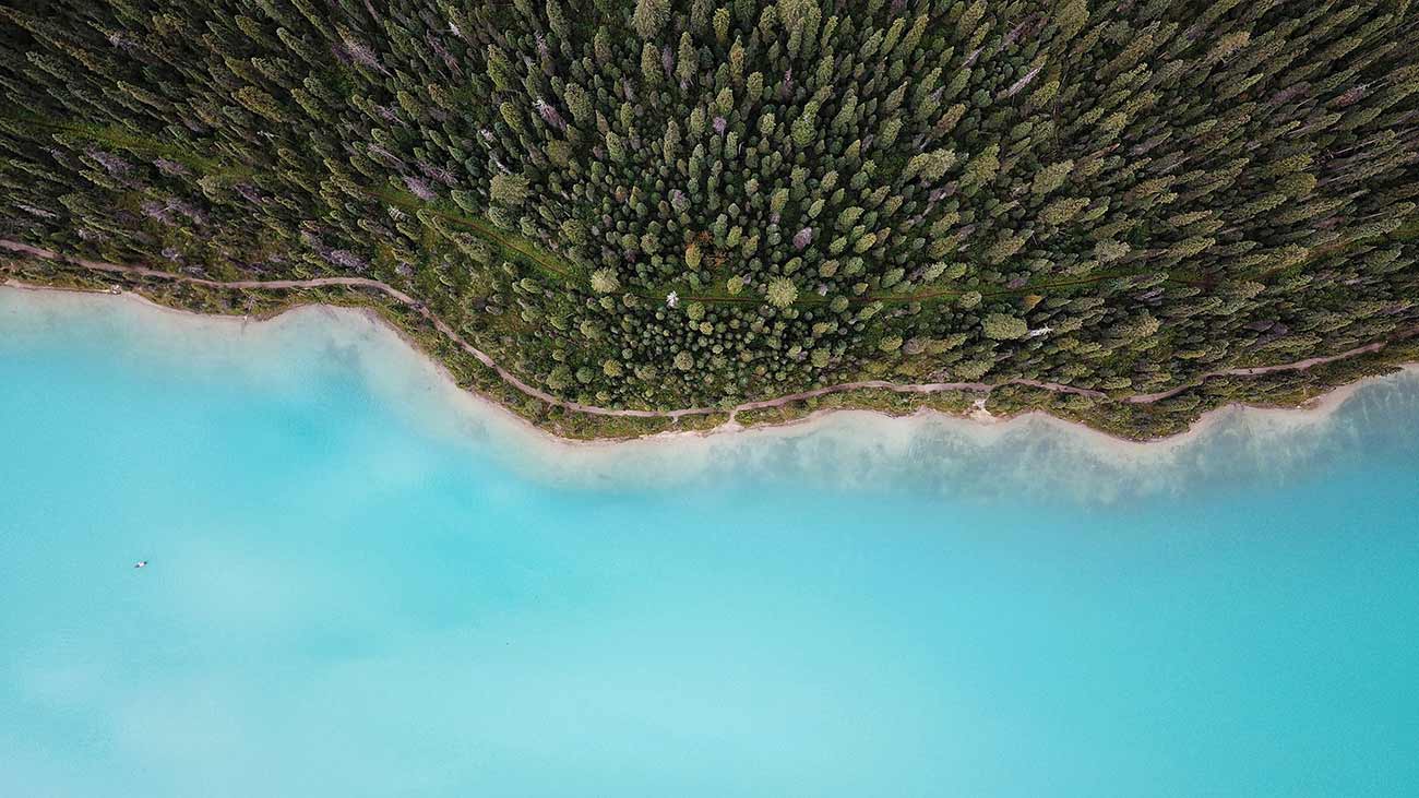 Top-down view of coastline