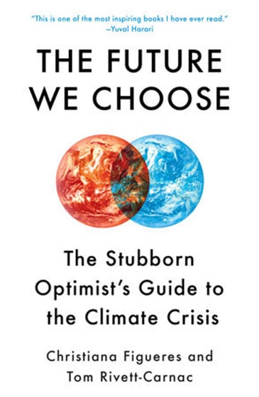 The Future We Choose cover art (US pandemic)