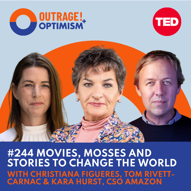 Movies, Mosses and Stories to Change the World cover art