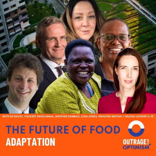 An Appetite for Adaptation cover art